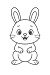 bunny 1